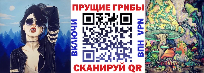 наркота  Яблоновский  Псилоцибиновые грибы прущие грибы 